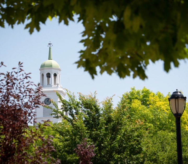 Photo of Rockwell Towerabove the trees in summer