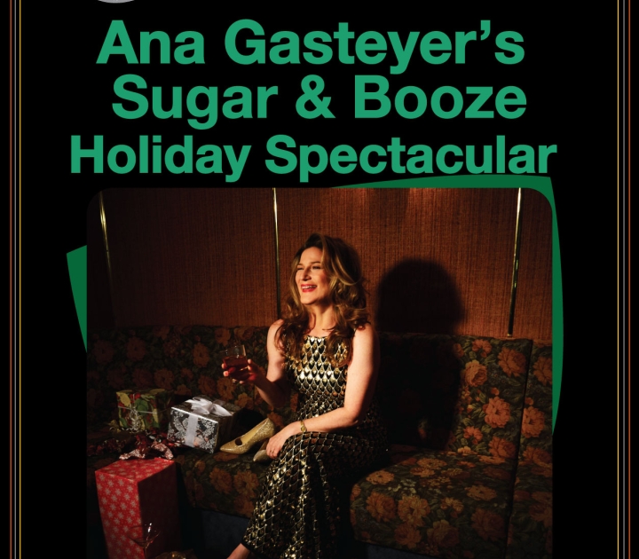 Graphic promoting Ana Gasteyer