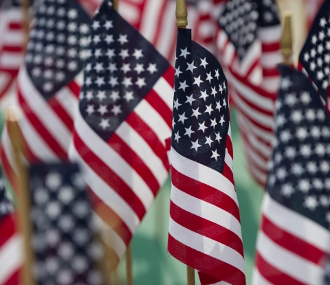 Many small American flags standing in the ground