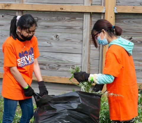 Two students wearing orange Buffalo State T-shirts bagging weeds and garden debris