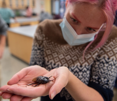 A student holds a large hissing cockroach