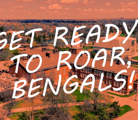Get Ready To Roar, Bengals