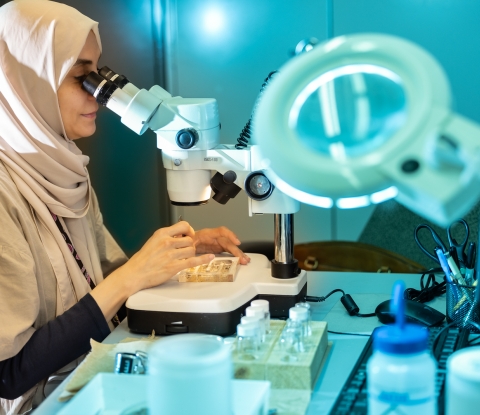 Student looking through microscope