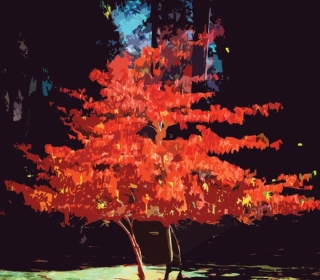 Color illustration of a dogwood tree