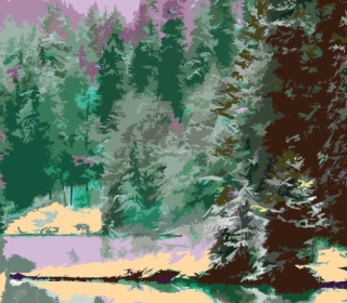 Color illustration of pine trees