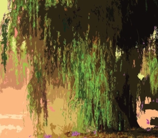 Color illustration of a willow tree