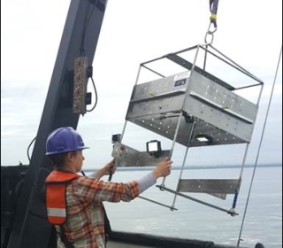 Person lowering the benthic imaging tool over the sie of the ship
