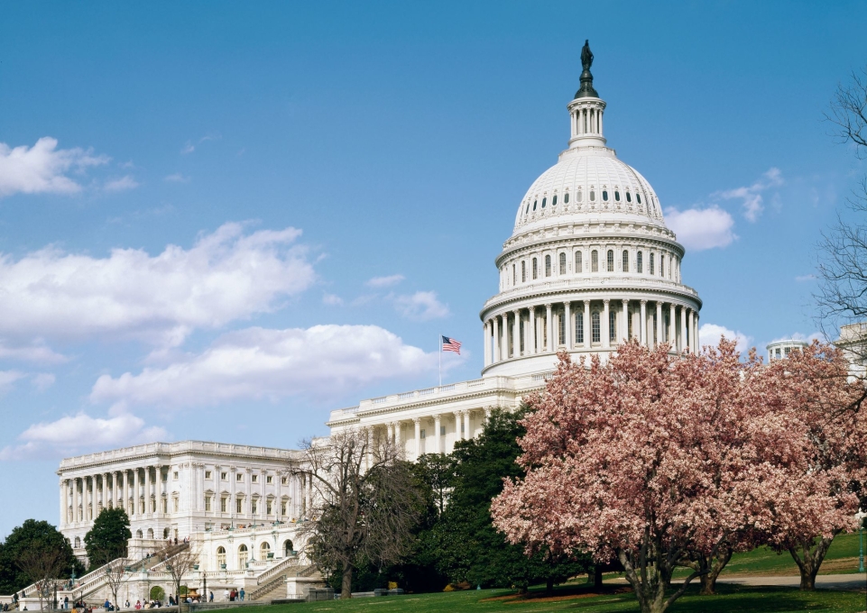U.S. Capitol in springtime