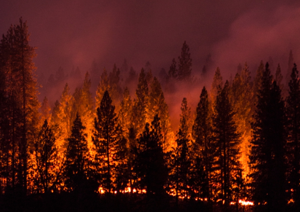 Panorama of the King Fire in Pollock Pines, California, that burned over 70,000 acres