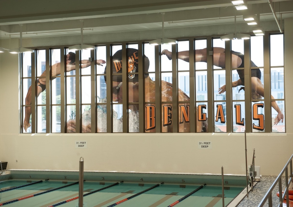 Closeup of the pool's mural wall, featuring color photos of swimmers and divers