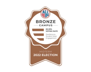 Bronze ribbon award 